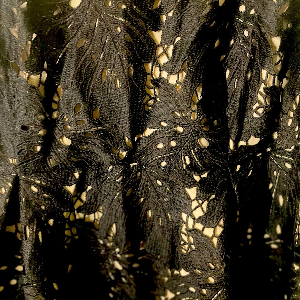 Black lace beautiful dress
